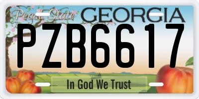 GA license plate PZB6617