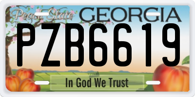 GA license plate PZB6619