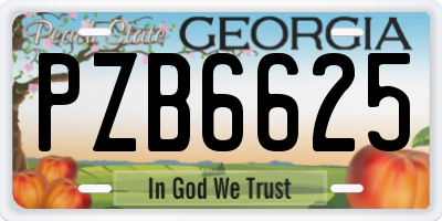GA license plate PZB6625