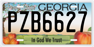 GA license plate PZB6627