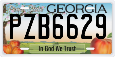 GA license plate PZB6629