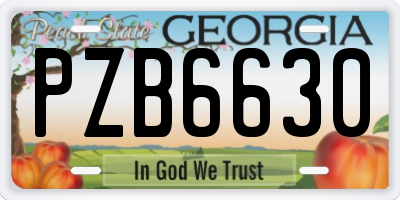 GA license plate PZB6630