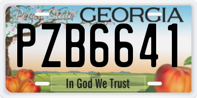 GA license plate PZB6641