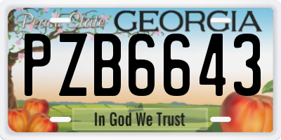GA license plate PZB6643