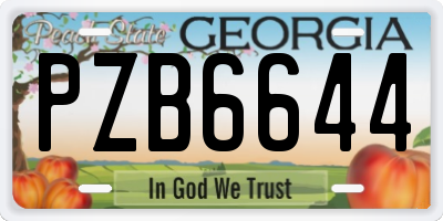 GA license plate PZB6644