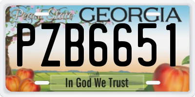 GA license plate PZB6651