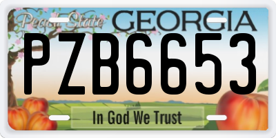 GA license plate PZB6653