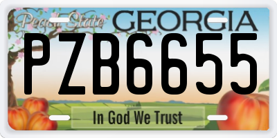 GA license plate PZB6655