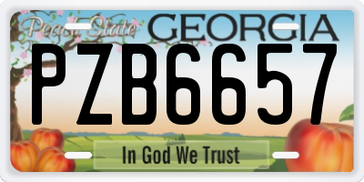 GA license plate PZB6657