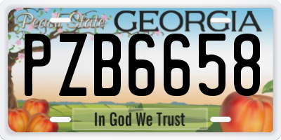 GA license plate PZB6658