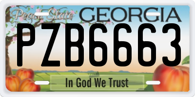 GA license plate PZB6663