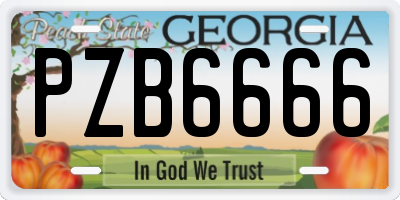 GA license plate PZB6666