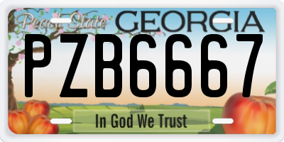 GA license plate PZB6667