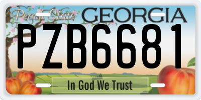 GA license plate PZB6681