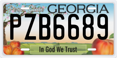GA license plate PZB6689
