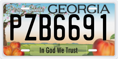 GA license plate PZB6691