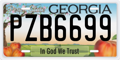 GA license plate PZB6699