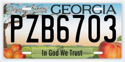GA license plate PZB6703