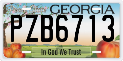 GA license plate PZB6713