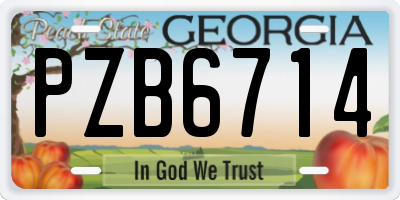 GA license plate PZB6714