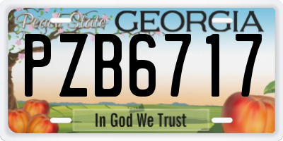 GA license plate PZB6717