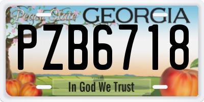 GA license plate PZB6718