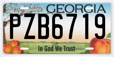 GA license plate PZB6719