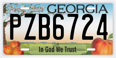 GA license plate PZB6724