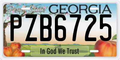 GA license plate PZB6725