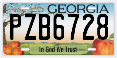 GA license plate PZB6728