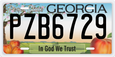 GA license plate PZB6729