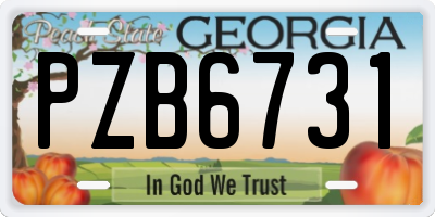 GA license plate PZB6731