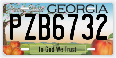 GA license plate PZB6732
