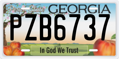 GA license plate PZB6737