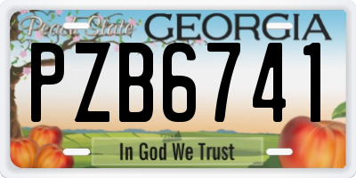 GA license plate PZB6741