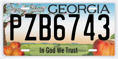 GA license plate PZB6743