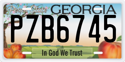 GA license plate PZB6745