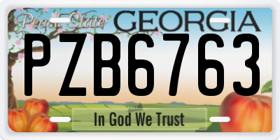 GA license plate PZB6763