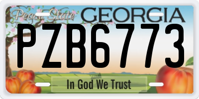 GA license plate PZB6773