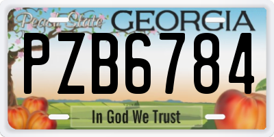 GA license plate PZB6784