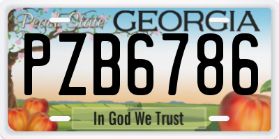 GA license plate PZB6786