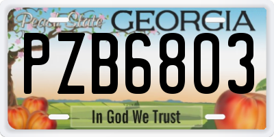 GA license plate PZB6803