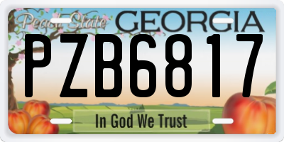 GA license plate PZB6817