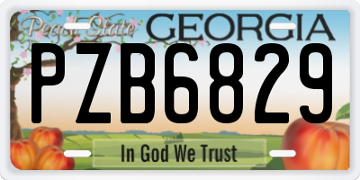 GA license plate PZB6829