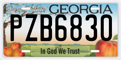 GA license plate PZB6830