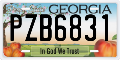 GA license plate PZB6831