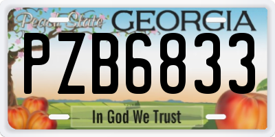 GA license plate PZB6833