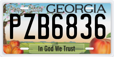 GA license plate PZB6836