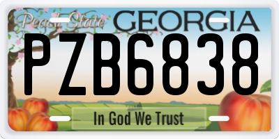 GA license plate PZB6838