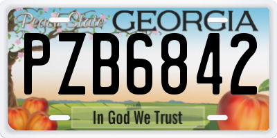 GA license plate PZB6842